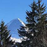 Mit Und Bergsicht Im Vier Sterne Апартаменты Беатенберг