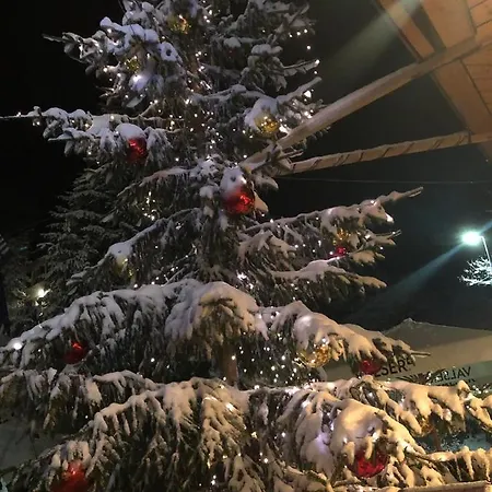 Mit Und Bergsicht Im Vier Sterne Appartement Beatenberg