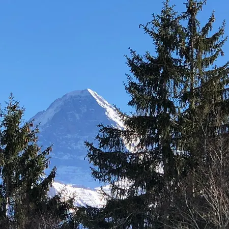 Mit Und Bergsicht Im Vier Sterne Appartement Beatenberg