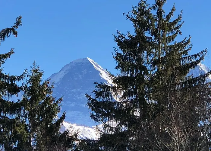 Mit Und Bergsicht Im Vier Sterne Apartman Beatenberg